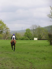 Image showing Galloping On