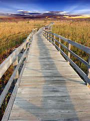 Image showing Path in marsh