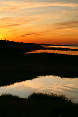 Image showing Summer in Djursland - Denmark