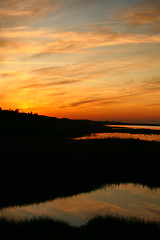 Image showing Summer in Djursland - Denmark