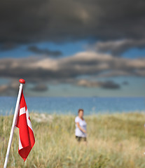 Image showing Summer in Djursland - Denmark