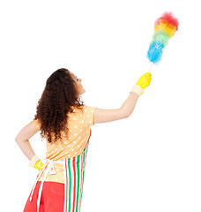 Image showing Housewife with cleaning supplies