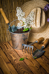 Image showing Gardening tools and a branch of a blossoming white lilac