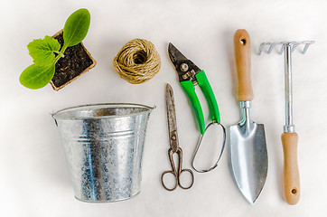 Image showing Garden tools for planting, on white background