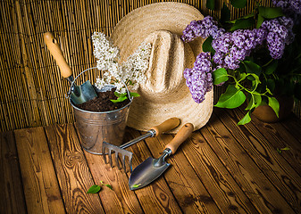 Image showing Gardening tools and a branch of a blossoming white lilac