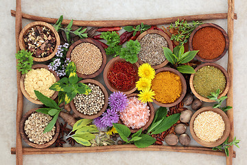 Image showing Herb and Spice Seasoning