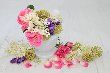 Image showing Flowers and Herb Natural Medicine