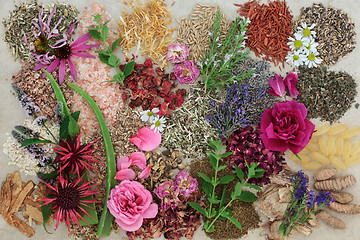 Image showing Herbal Medicine for Healing Skin Disorders