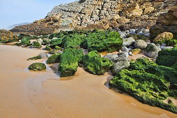 Image showing Green stones on the seashore