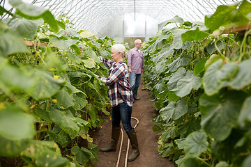 Image showing happy senior couple working at farm greenhouse