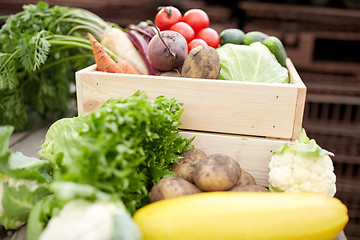 Image showing close up of vegetables on farm
