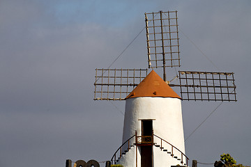 Image showing cactus windmills in  isle   lanzarote africa  