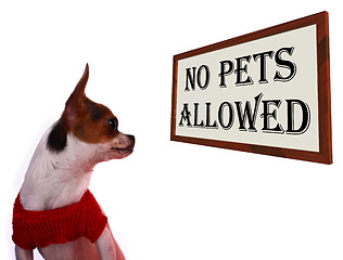 Image showing No Pets Allowed Sign Showing Unauthorized Forbidden Zone