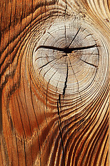 Image showing detail of knotted spruce wooden surface