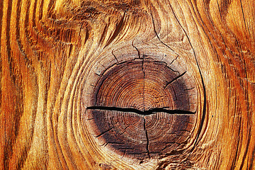 Image showing detail of beautiful knot on spruce wood plank