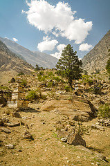 Image showing Wilderness in Nepal