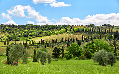 Image showing Tuscany landscape, Toscana, Italy