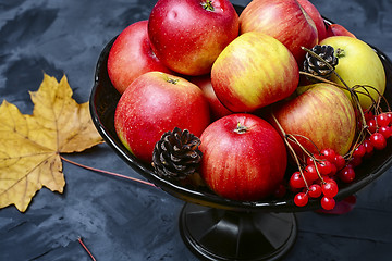 Image showing Vase with autumn apples