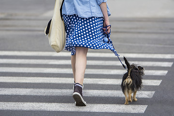Image showing Young woman with dog walking in the city