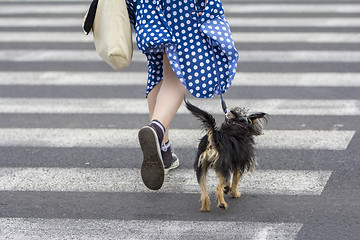 Image showing Young woman with dog walking in the city