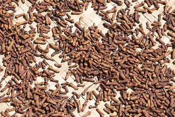 Image showing drying flower buds from clove spice