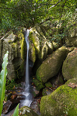 Image showing Small waterfall in Masoala national park, Madagascar