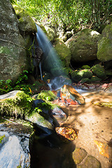 Image showing Small waterfall in Masoala national park, Madagascar