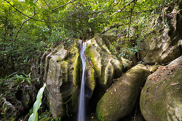 Image showing Small waterfall in Masoala national park, Madagascar