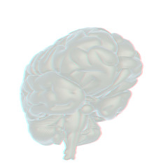 Image showing 3D illustration of human brain. Anaglyph. View with red/cyan gla