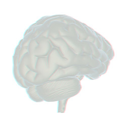 Image showing 3D illustration of human brain. Anaglyph. View with red/cyan gla