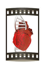 Image showing DNA and heart. 3d illustration. The film strip