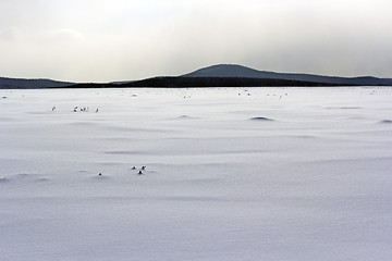 Image showing Fresh snow cover in dunes at closeup, a winter landscape