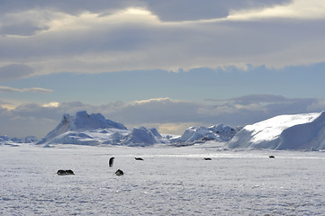 Image showing Beautiful view of icebergs Snow Hill Antarctica