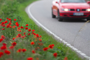 Image showing Many poppies in a field a cloudy sommer day with a car passing b