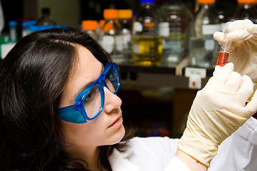 Image showing Scientist looking at test tube