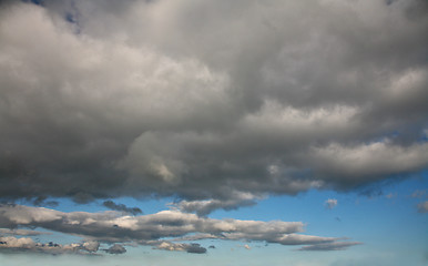 Image showing Summer in Djursland - Denmark