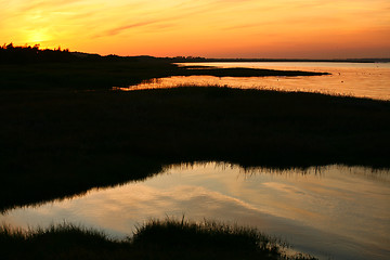 Image showing Summer in Djursland - Denmark