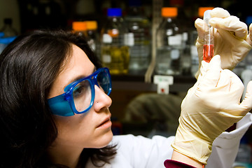 Image showing Scientist looking at test tube