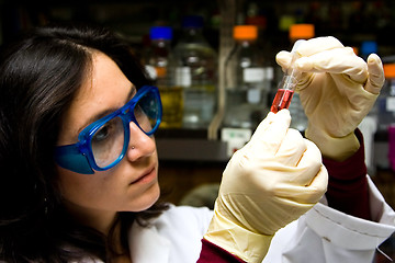 Image showing Scientist looking at test tube