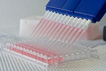 Image showing Pipetting experiment