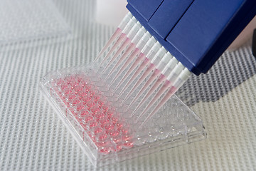 Image showing Pipetting experiment