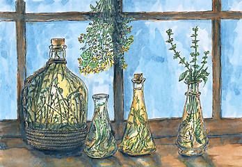 Image showing Bottles with herbal liquids and blue window