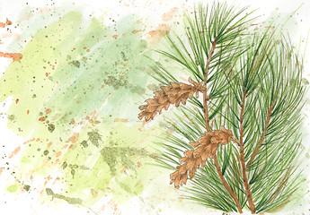 Image showing Grunge background with Weymouth pine (Pinus strobus)