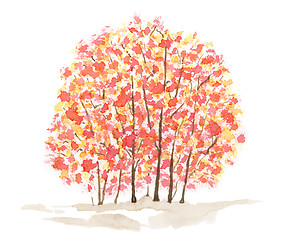 Image showing Autumn trees over white background