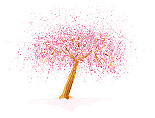 Image showing Pink flowering cherry tree over white background