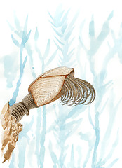 Image showing Painting of a pelagic gooseneck barnacle (Lepas anatifera)