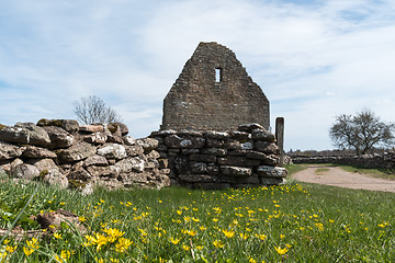 Image showing Springtime by an old ruin