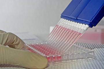 Image showing Pipetting experiment