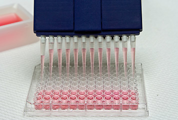 Image showing Pipetting experiment