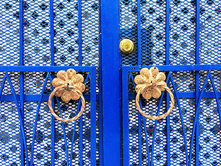 Image showing Blue iron gate with ornamental details